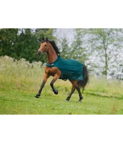 Chemise de marcheur anti-mouches Economy Light