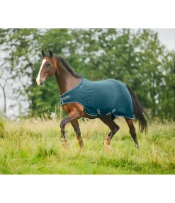 Chemise de marcheur en polaire Activity