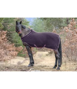 Chemise de marcheur en polaire Activity