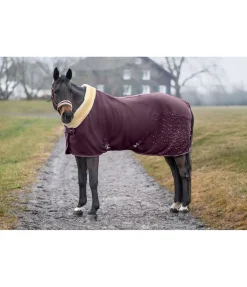 Chemise séchante technique Sparkling II