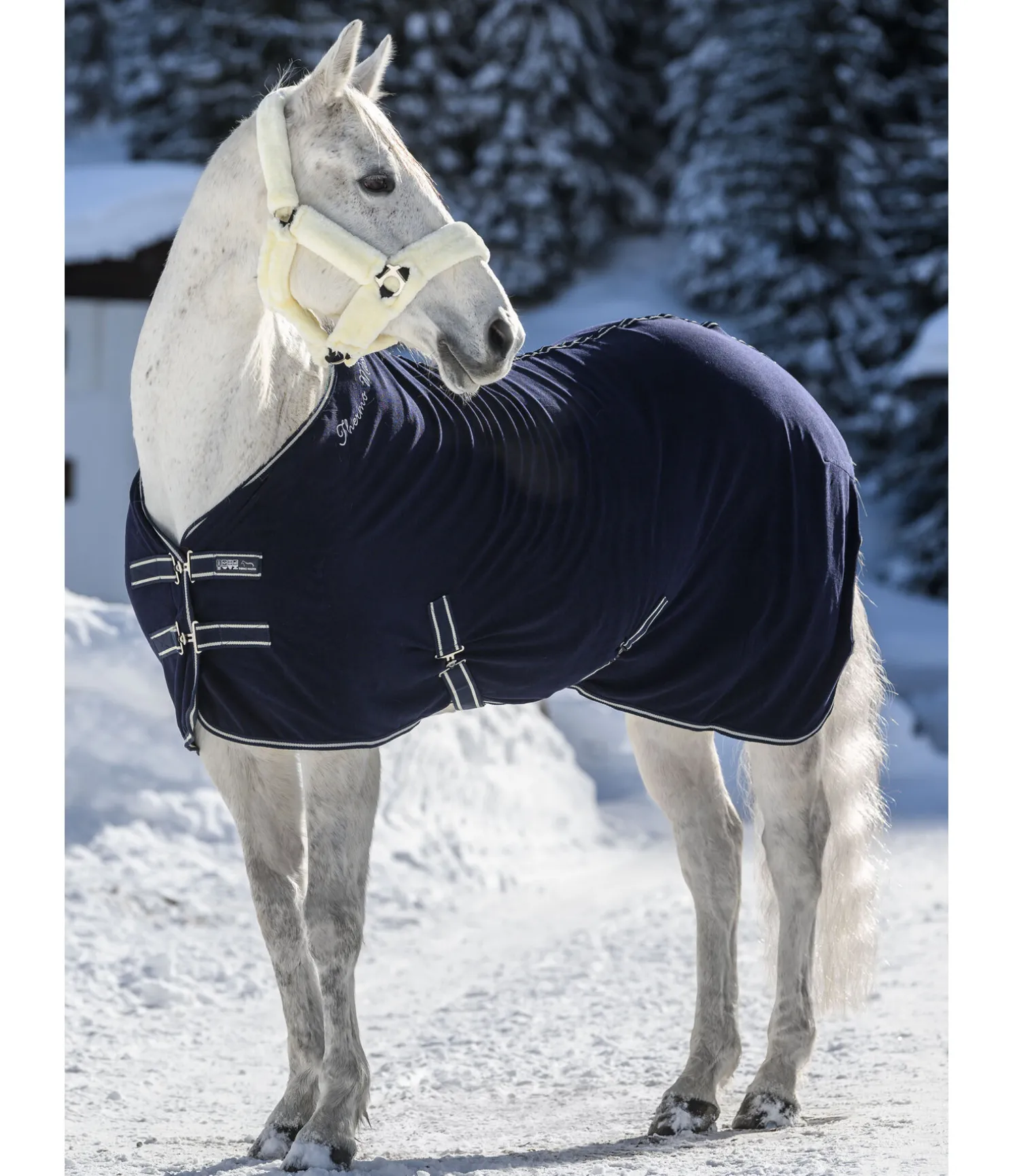 Chemise séchante technique Terry Towel II