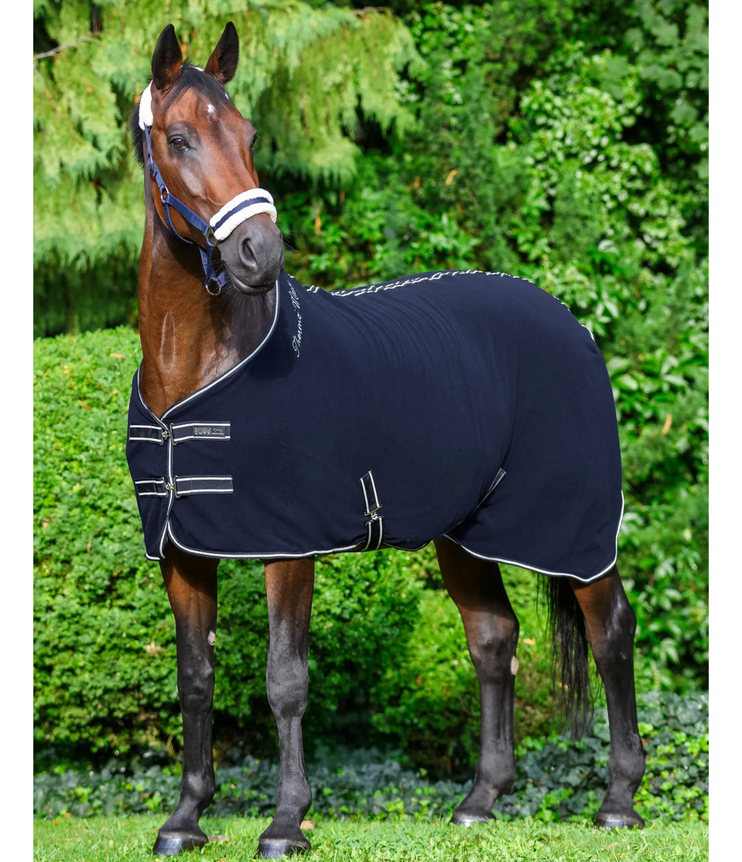 Chemise séchante technique Terry Towel II