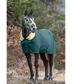 Chemise séchante technique Sparkling II