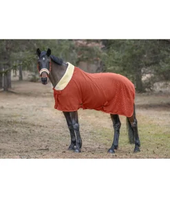 Chemise séchante technique Sparkling II