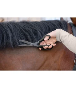 Ciseaux à crins Professional