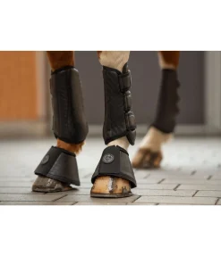 Cloches Dressage-Derby