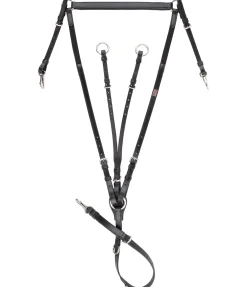 Collier de chasse élastique Parcours