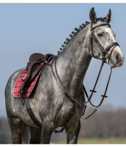 Collier de chasse élastique Parcours