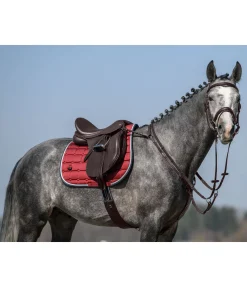 Collier de chasse élastique Parcours