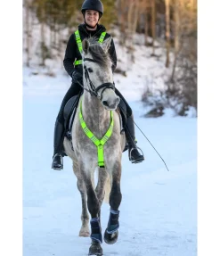 Collier de chasse réfléchissant Stripes