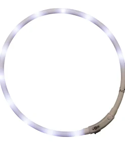 Collier lumineux-LED