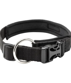 Collier pour chien Becks