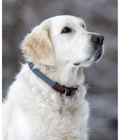 Collier pour chien Rope