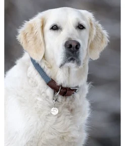 Collier pour chien Rope