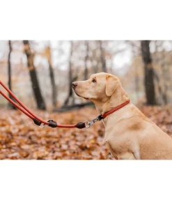Collier pour chien Rope