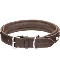 Collier pour chien en cuir Chinook