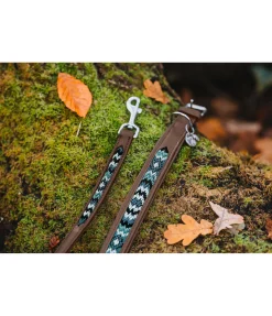 Collier pour chien en cuir Nashville