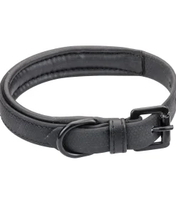 Collier waterproof pour chien Mable