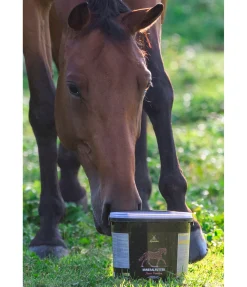 Complément minéral premium Junior