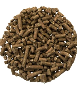 Complément premium musculature