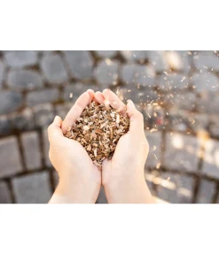 Écorce de saule pour cheval