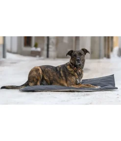 Coussin thermique pour chien Ceramic Rehab