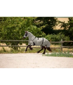 Couverture anti-eczéma pour chevaux islandais