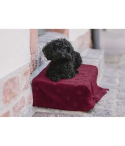 Couverture polaire Charly