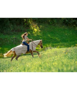 Couvre-reins anti-mouches pour chevaux western avec couvre-cou enroulable