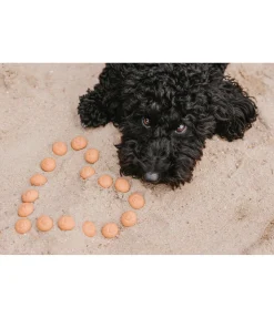 Craquelins d'agneau cuits au four