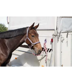 Crochet de sécurité Equi-Ping