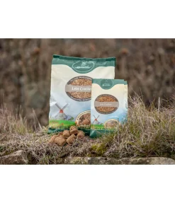 Croustillants au lin