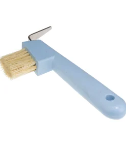 Cure-pied Circle of Life