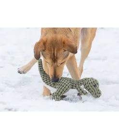 Dinosaure en peluche pour chien Rexy