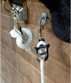 Dispositif d'attache