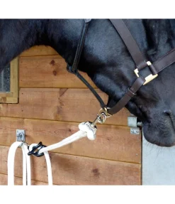 Dispositif d'attache