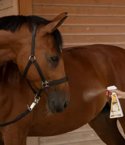 Déo pour chevaux Orange Noix