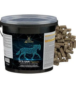 ECS-san Premium