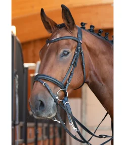 Enrênement Thiedemann