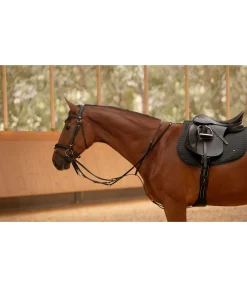 Enrênement Thiedemann