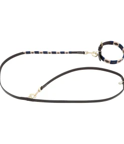 Ensemble collier et laisse en cuir pour chien Polo Sports