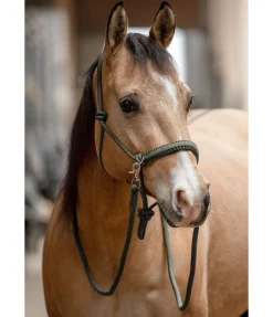 Ensemble licol à noeuds All-in-One