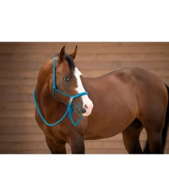 Ensemble licol à noeuds All-in-One