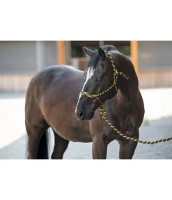 Ensemble licol à noeuds et longe Soft