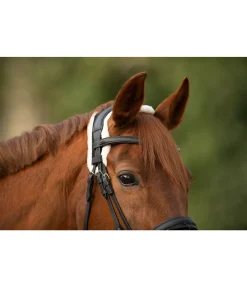 Fourreau de têtière Ceramic Rehab