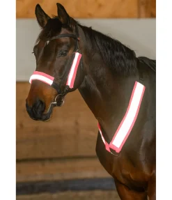 Fourreaux réfléchissants pour bridon