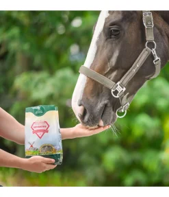 Friandises magiques système nerveux renforcé