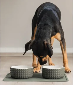 Gamelle en céramique Berkeley