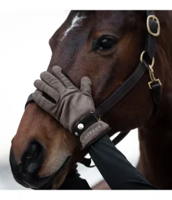 Gants d'hiver Luzern