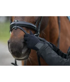 Gants d'équitation All Season Ribbed